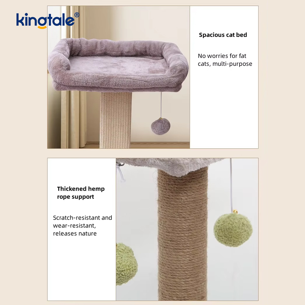 Grunderna Kattträd
