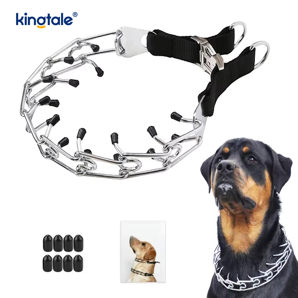 Hundstifthalsband med metallspänne