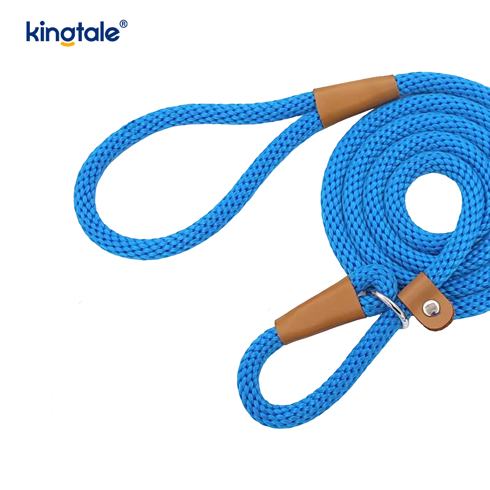 Vävd Nylon Slip Hundkoppel