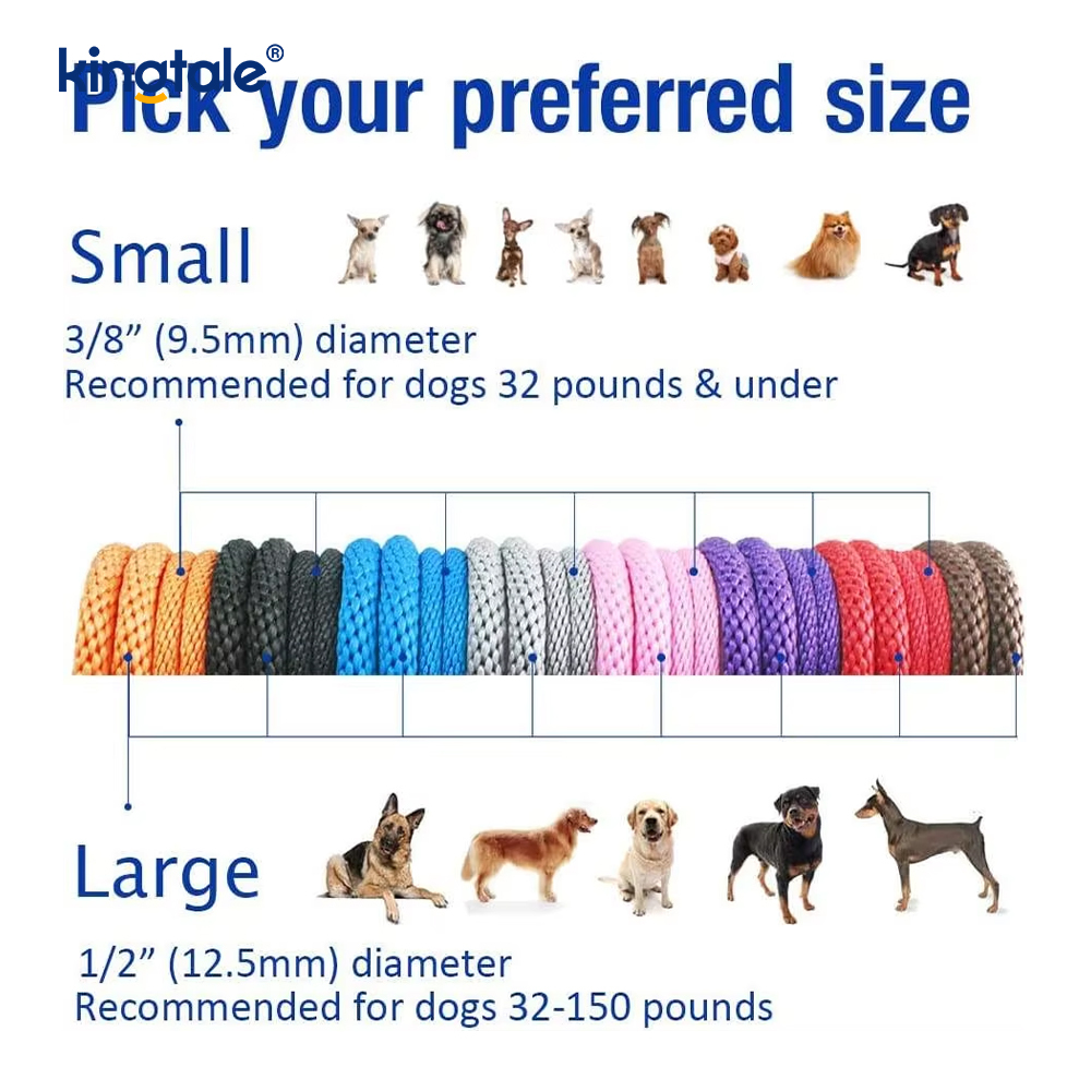 Vävd Nylon Slip Hundkoppel