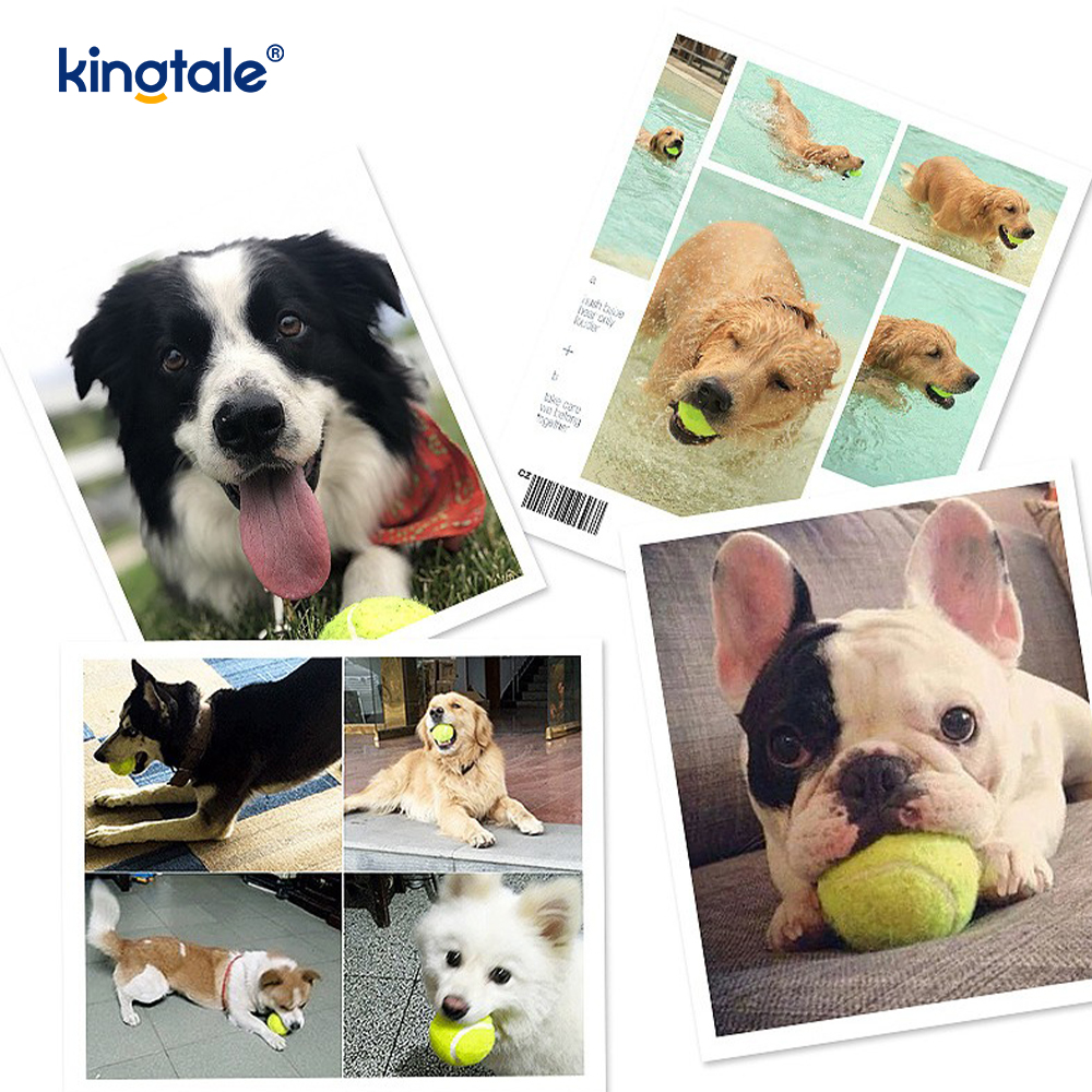 Pet Toy Tennis Tålig och bittålig för Pet Chew Exercise Interactive