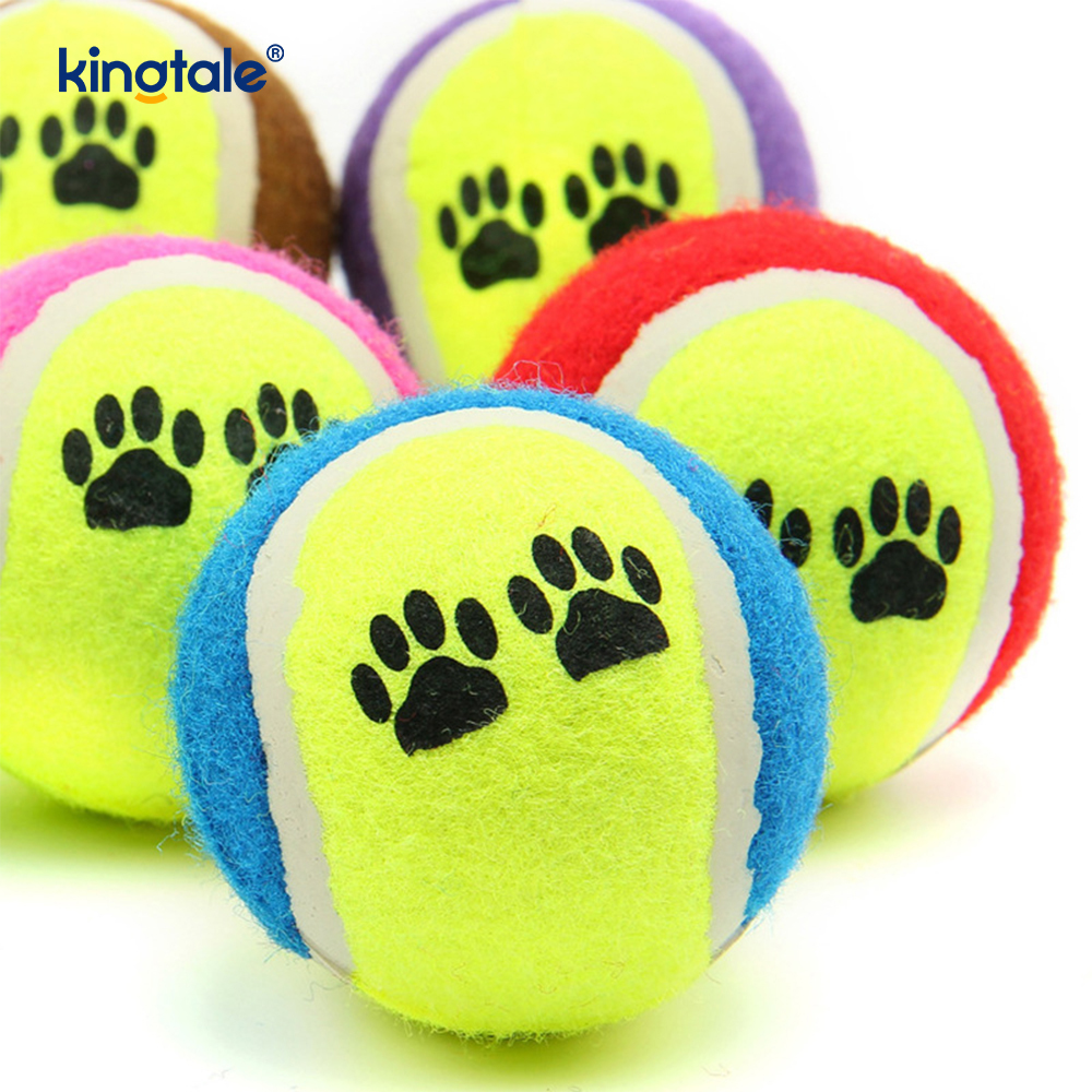 Pet Toy Tennis Tålig och bittålig för Pet Chew Exercise Interactive
