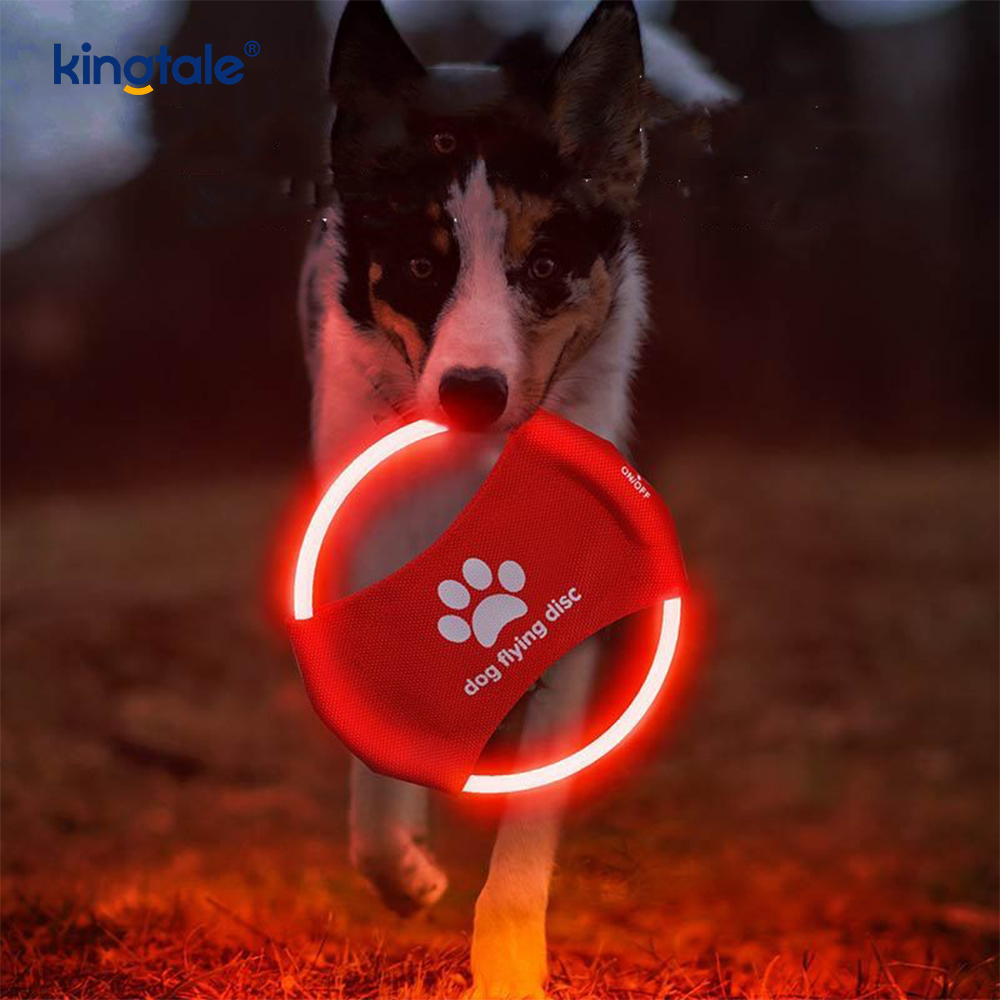 Pet Light-Up Frisbee High Visibility Lighted Pet Training Kasta Spela för träning