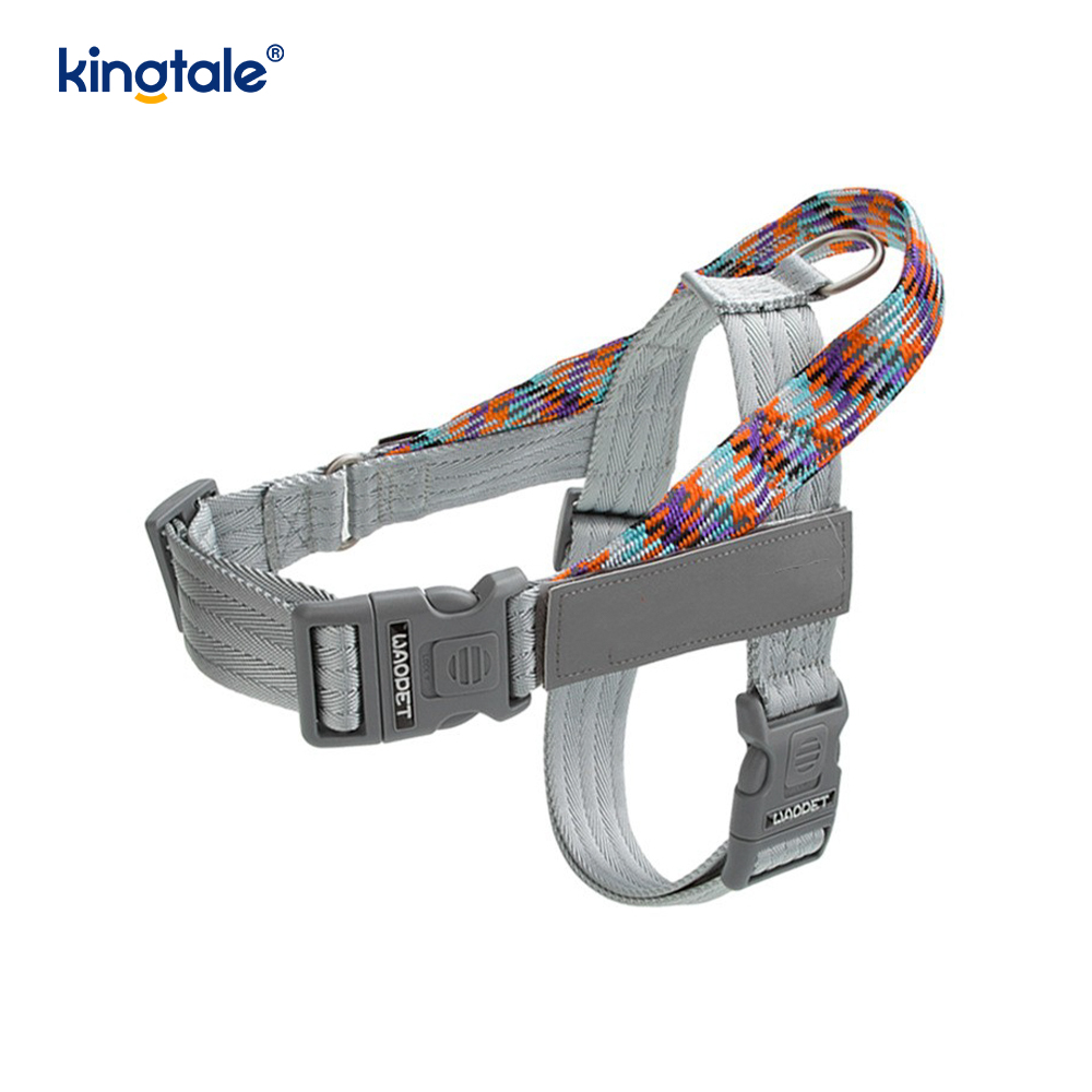 Utvecklad Braid Nylon Webbing Highlight Reflexive Dog Sele