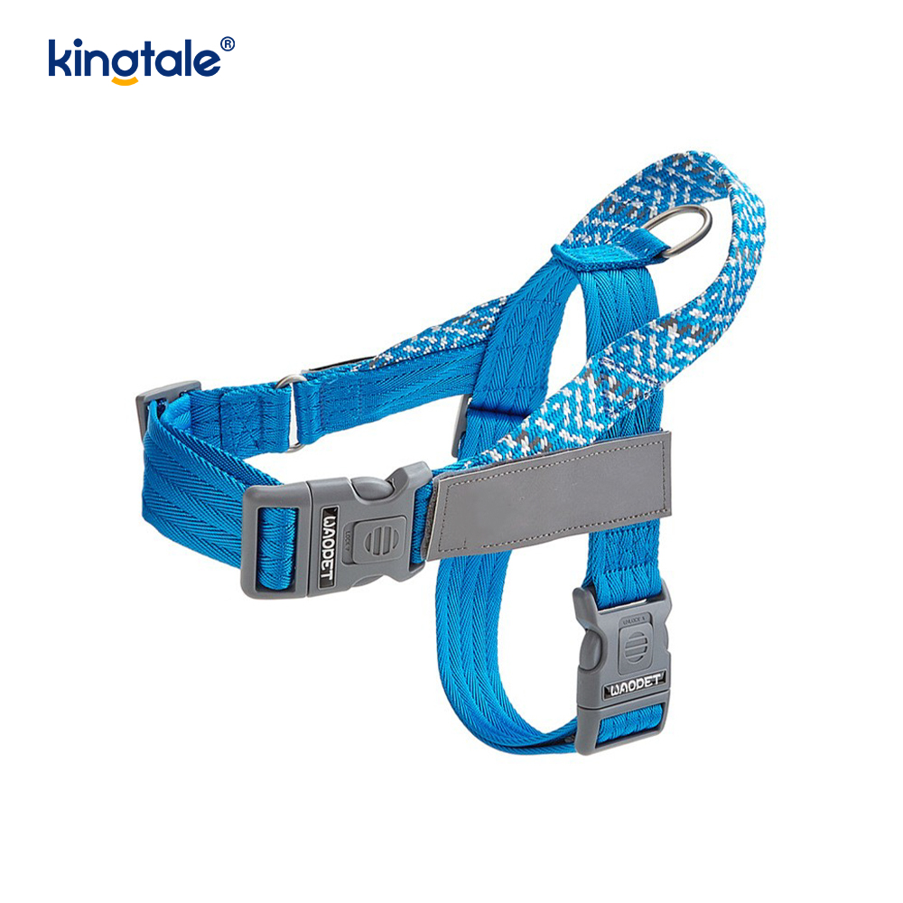 Utvecklad Braid Nylon Webbing Highlight Reflexive Dog Sele