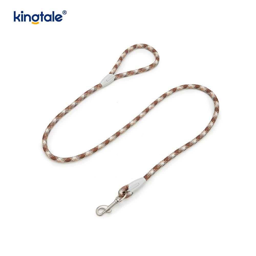 Utvecklad Braid Nylon Webbing Highlight Reflexive Dog Sele