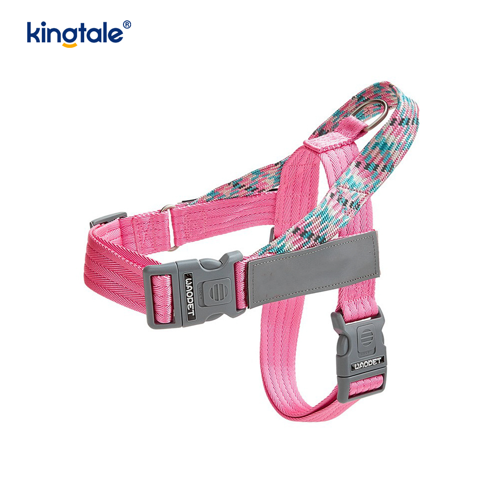Utvecklad Braid Nylon Webbing Highlight Reflexive Dog Sele