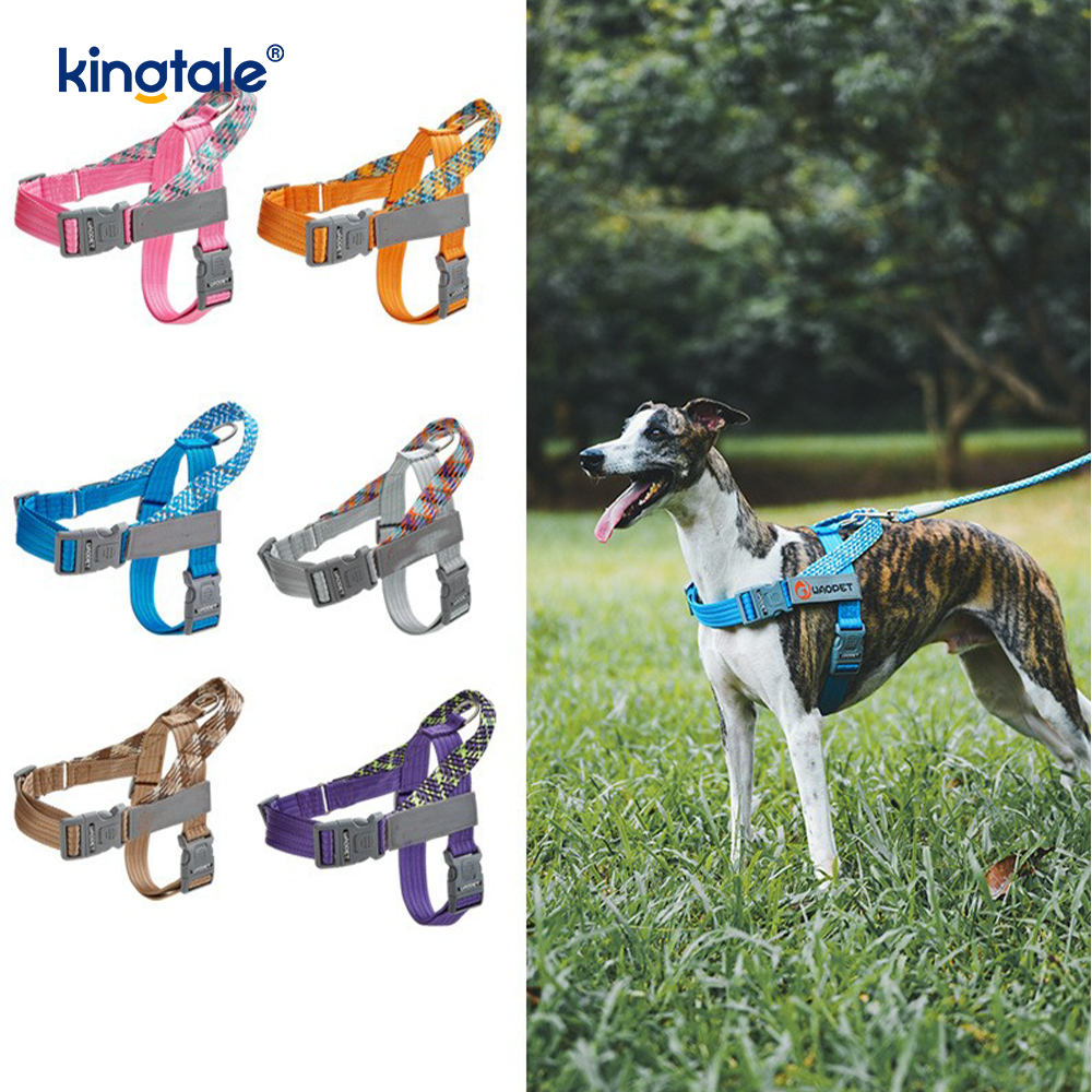 Utvecklad Braid Nylon Webbing Highlight Reflexive Dog Sele