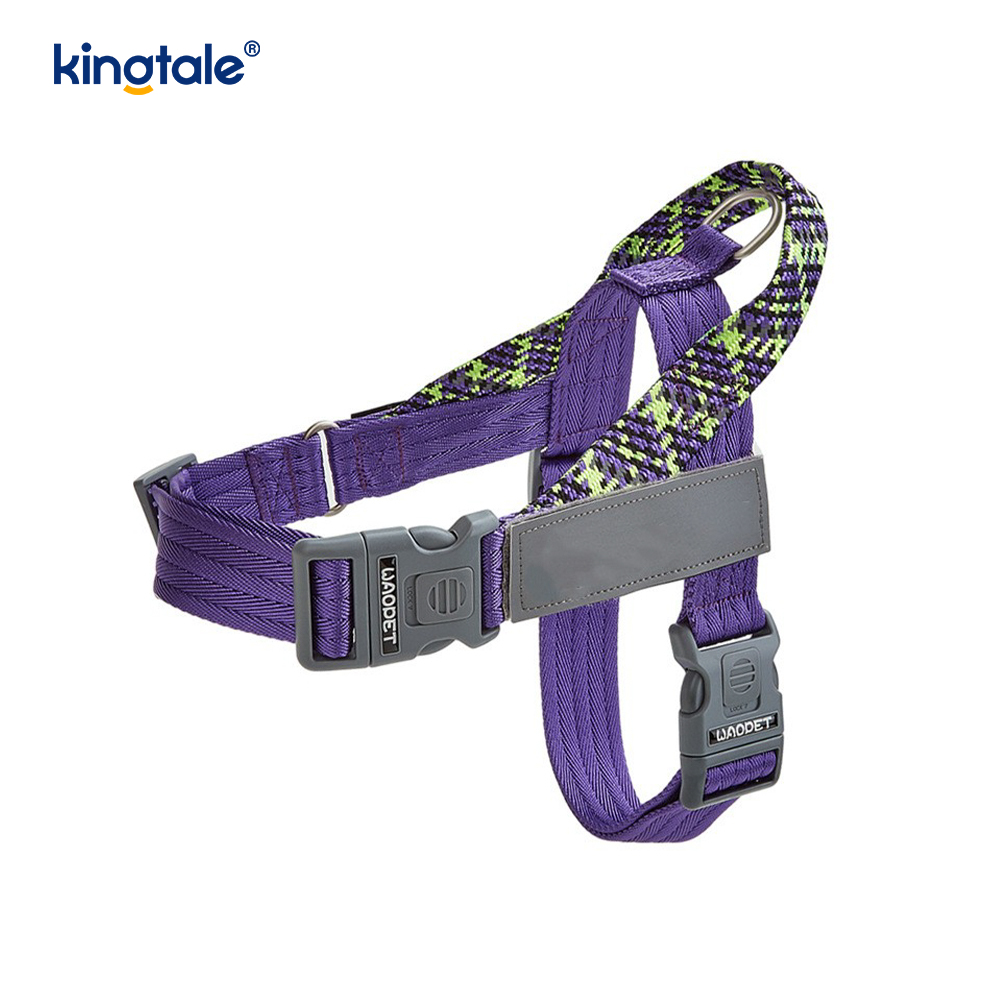 Utvecklad Braid Nylon Webbing Highlight Reflexive Dog Sele