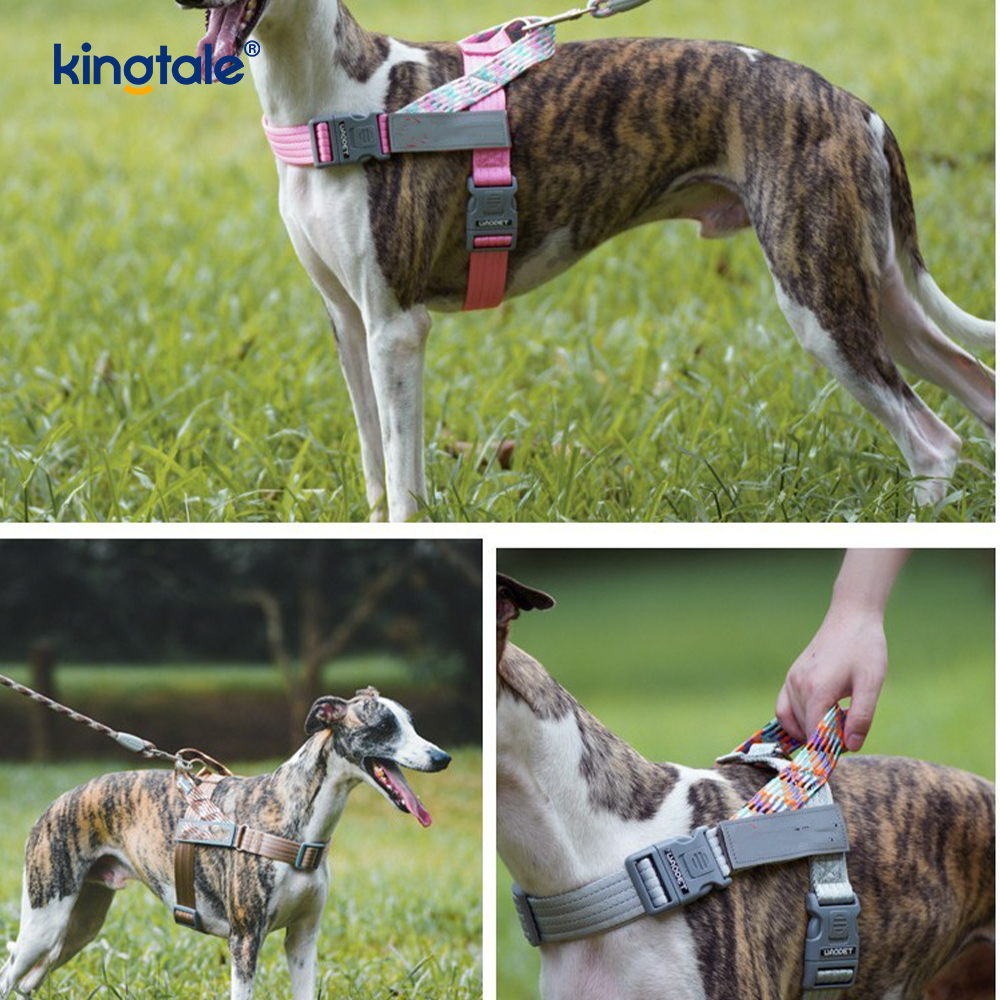 Utvecklad Braid Nylon Webbing Highlight Reflexive Dog Sele