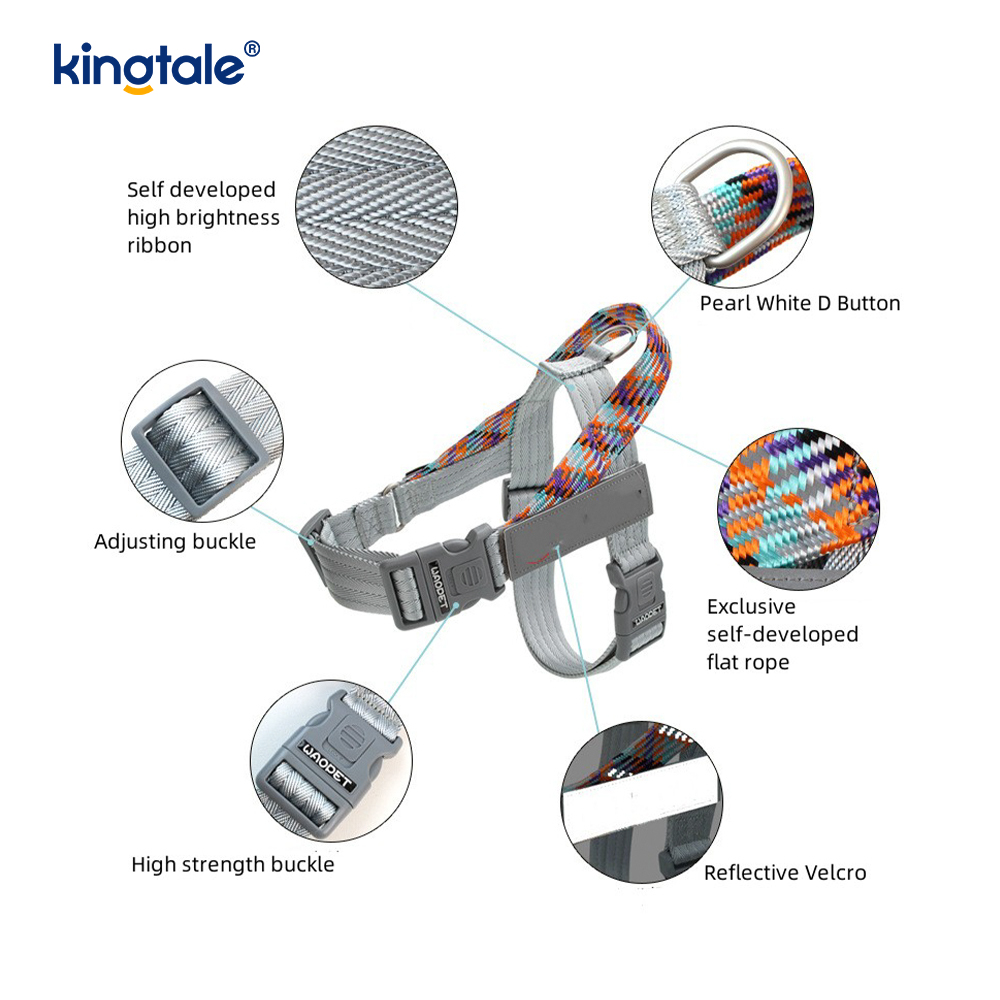 Utvecklad Braid Nylon Webbing Highlight Reflexive Dog Sele