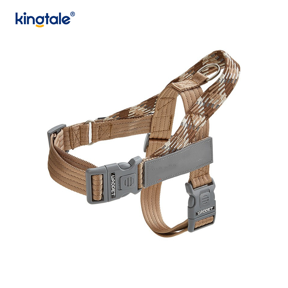 Utvecklad Braid Nylon Webbing Highlight Reflexive Dog Sele
