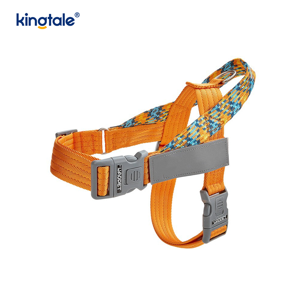 Utvecklad Braid Nylon Webbing Highlight Reflexive Dog Sele