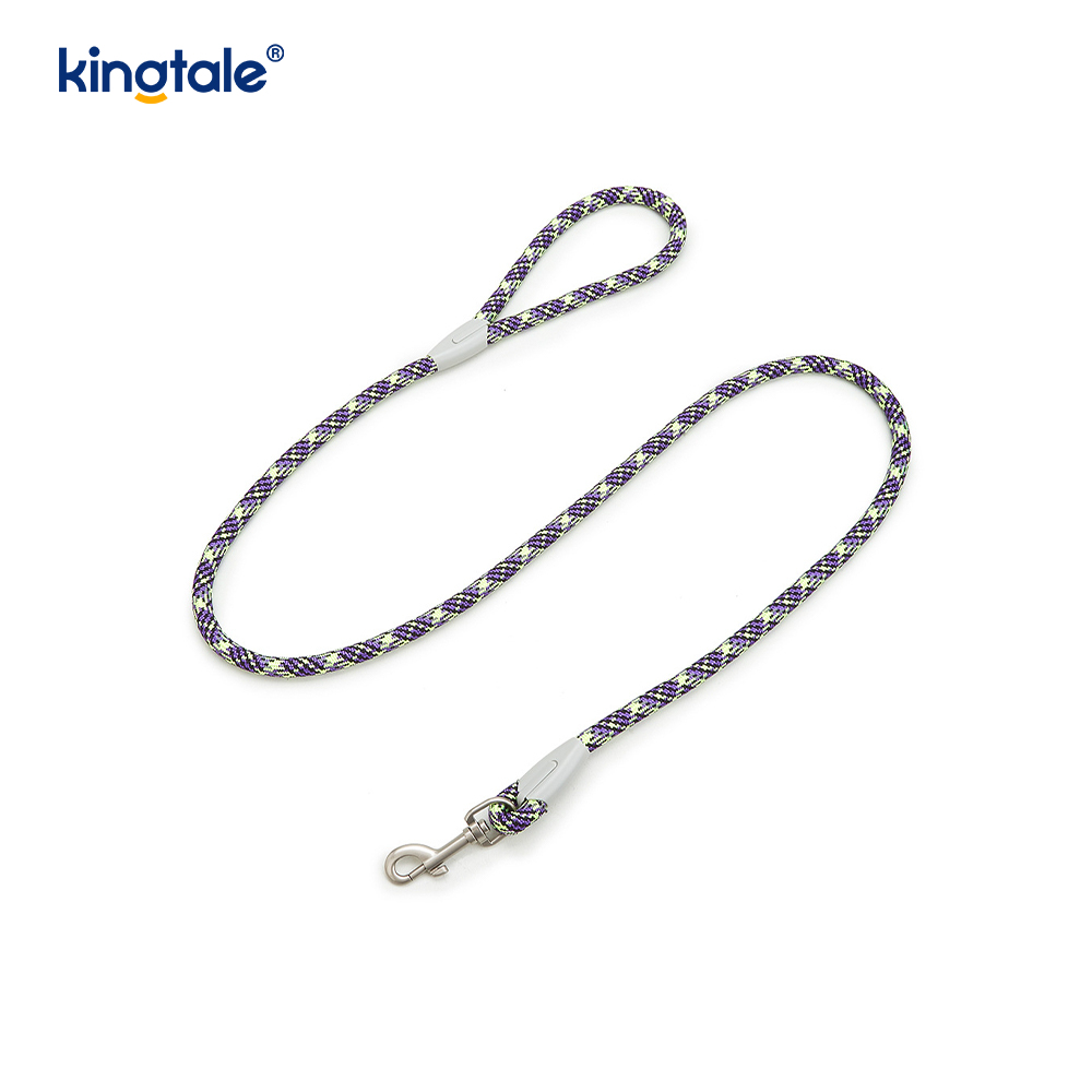 Utvecklad Braid Nylon Webbing Highlight Reflexive Dog Sele
