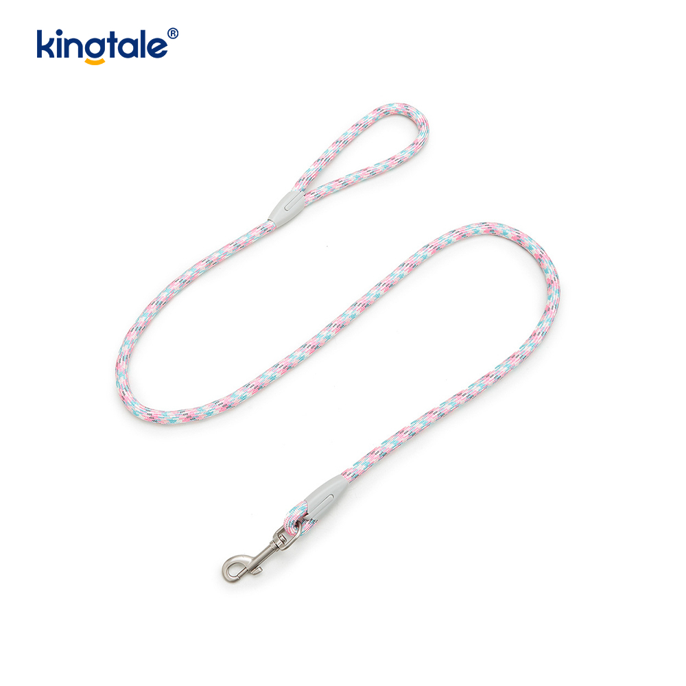Utvecklad Braid Nylon Webbing Highlight Reflexive Dog Sele