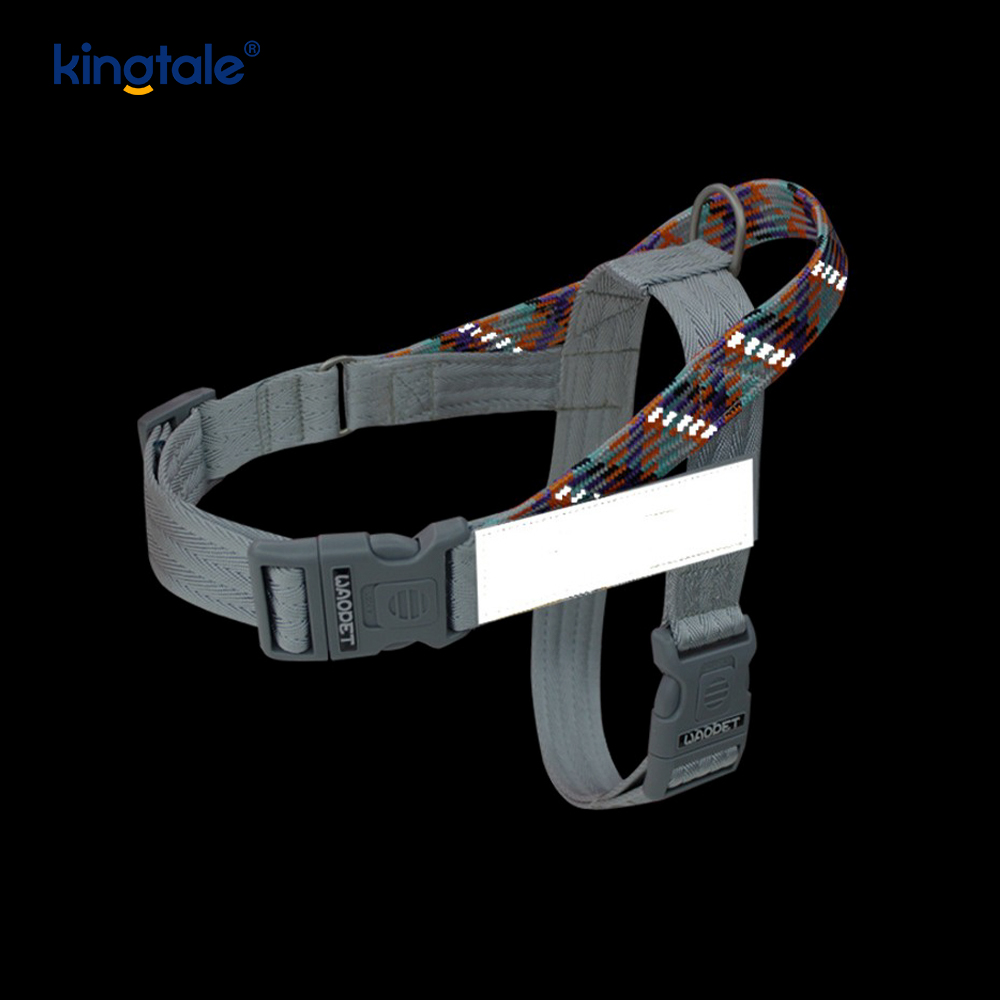 Utvecklad Braid Nylon Webbing Highlight Reflexive Dog Sele