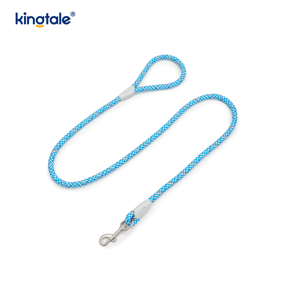 Utvecklad Braid Nylon Webbing Highlight Reflexive Dog Sele
