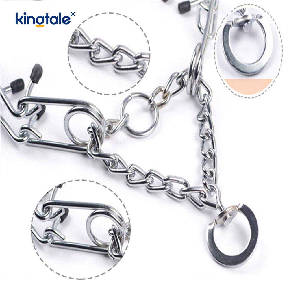 Pet Pinch Choke Halsband Kolstål Metal Prong Dog Training Halsband