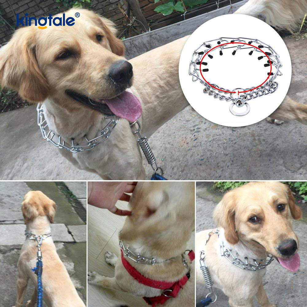 Pet Pinch Choke Halsband Kolstål Metal Prong Dog Training Halsband