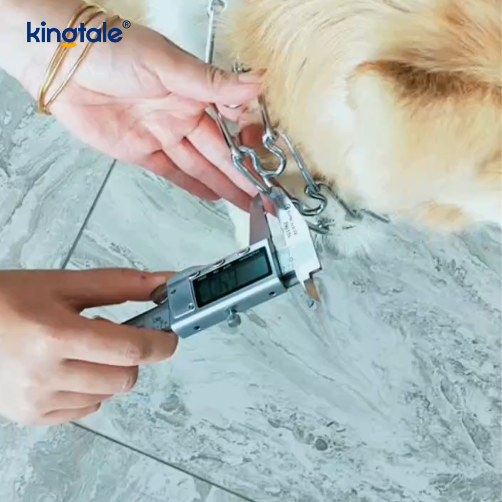 Pet Pinch Choke Halsband Kolstål Metal Prong Dog Training Halsband
