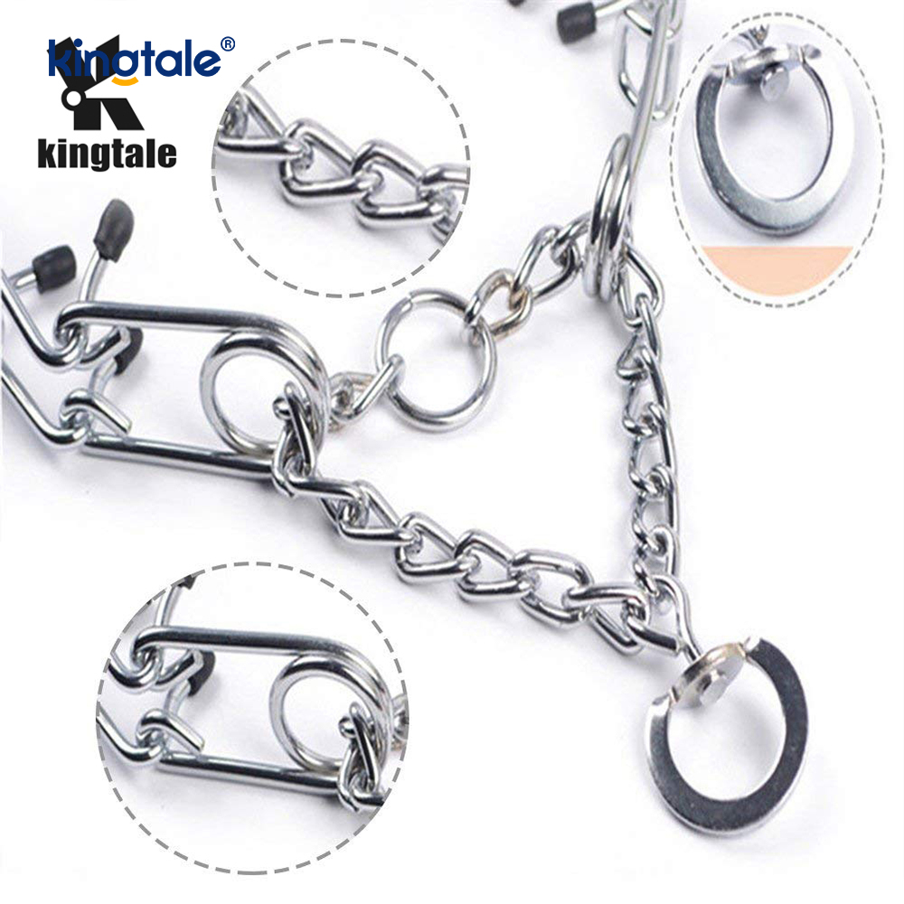 Pet Pinch Choke Halsband Kolstål Metal Prong Dog Training Halsband