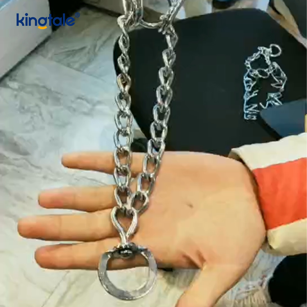 Pet Pinch Choke Halsband Kolstål Metal Prong Dog Training Halsband