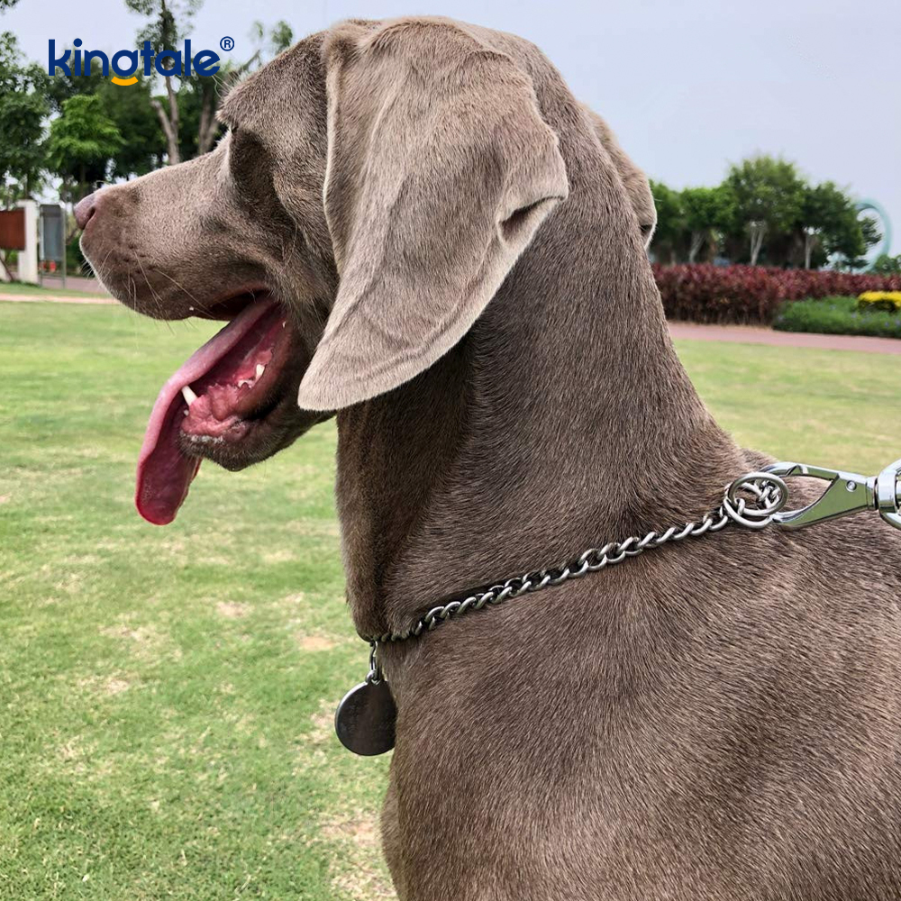 Metal Training Dog Choke Halsband Slip P Chain Tung kedja för hundar