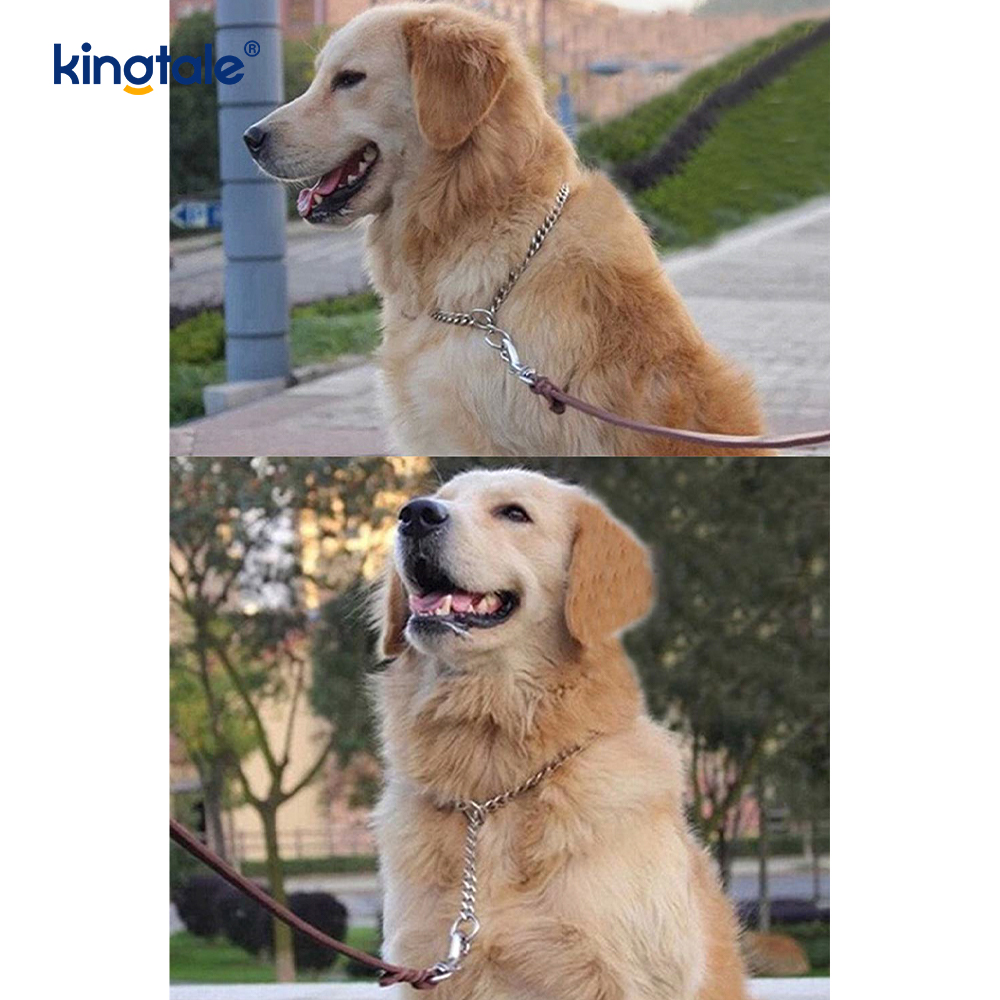 Metal Training Dog Choke Halsband Slip P Chain Tung kedja för hundar