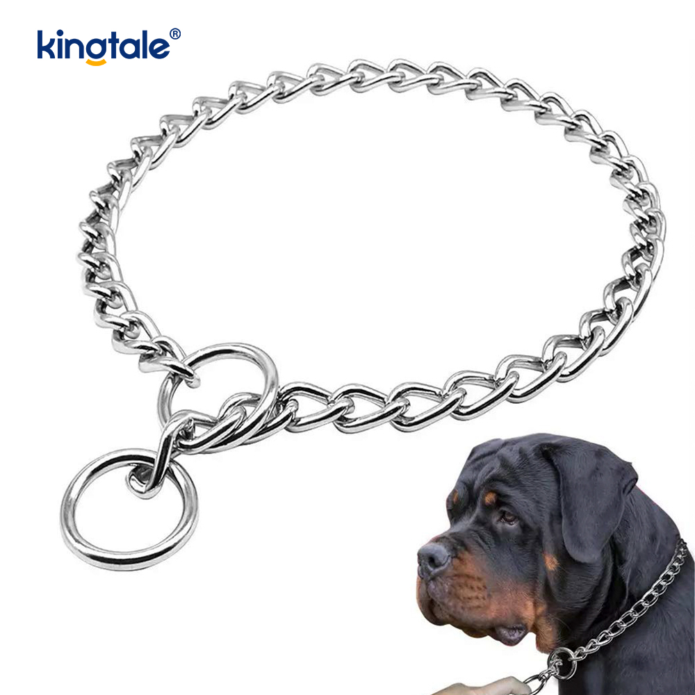 Metal Training Dog Choke Halsband Slip P Chain Tung kedja för hundar