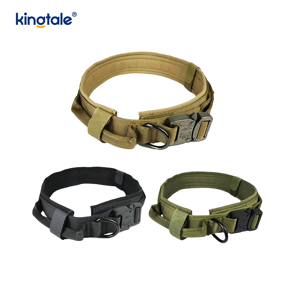 Metallspänne Bälte Hundhalsband Heavy Duty Hundhalsband Heavy Duty
