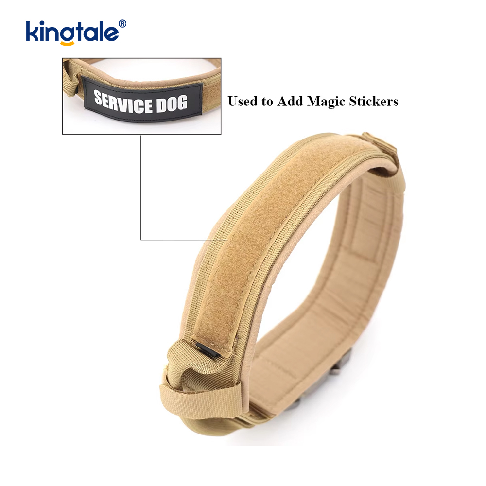 Metallspänne Bälte Hundhalsband Heavy Duty Hundhalsband Heavy Duty