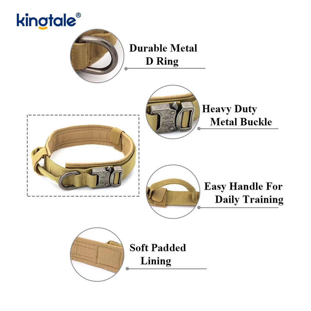 Metallspänne Bälte Hundhalsband Heavy Duty Hundhalsband Heavy Duty