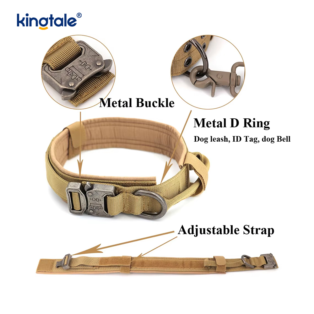 Metallspänne Bälte Hundhalsband Heavy Duty Hundhalsband Heavy Duty