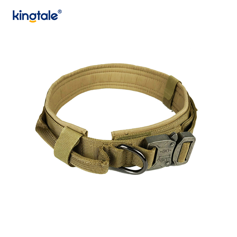 Metallspänne Bälte Hundhalsband Heavy Duty Hundhalsband Heavy Duty