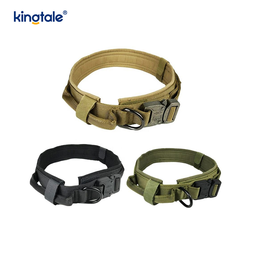 Metallspänne Bälte Hundhalsband Heavy Duty Hundhalsband Heavy Duty