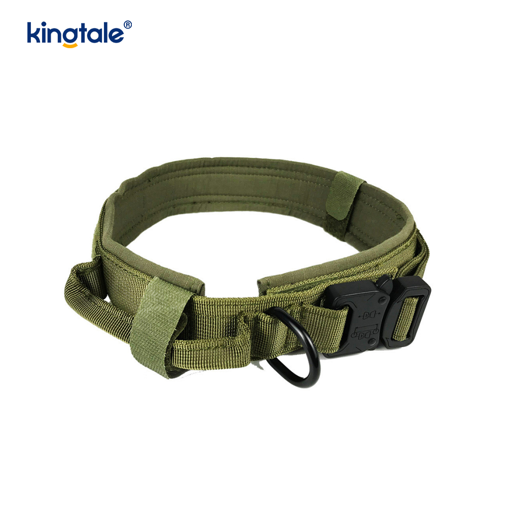 Metallspänne Bälte Hundhalsband Heavy Duty Hundhalsband Heavy Duty