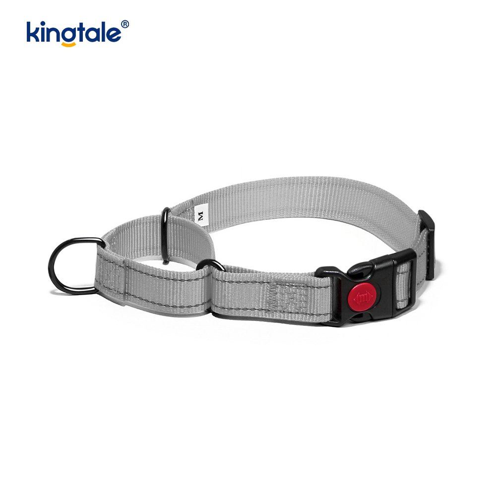 No Pull Reflekterande Justerbar Nylon Martingale Hundhalsband För S M A L L Hundar