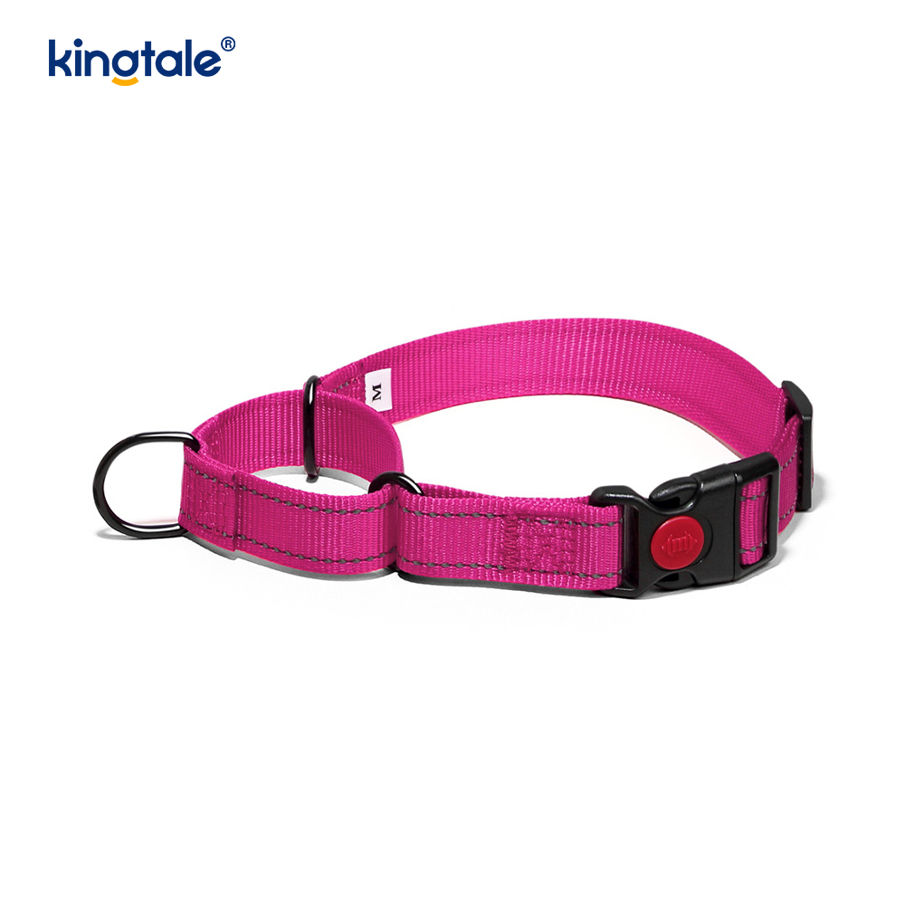 No Pull Reflekterande Justerbar Nylon Martingale Hundhalsband För S M A L L Hundar