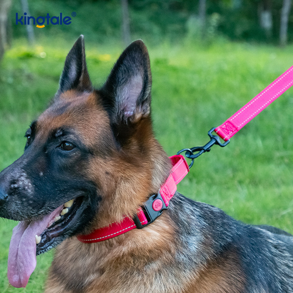 No Pull Reflekterande Justerbar Nylon Martingale Hundhalsband För S M A L L Hundar