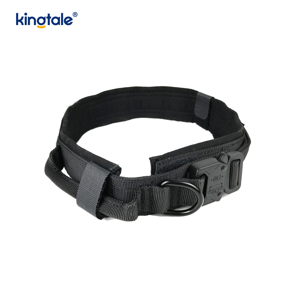 Metallspänne Bälte Hundhalsband Heavy Duty Hundhalsband Heavy Duty