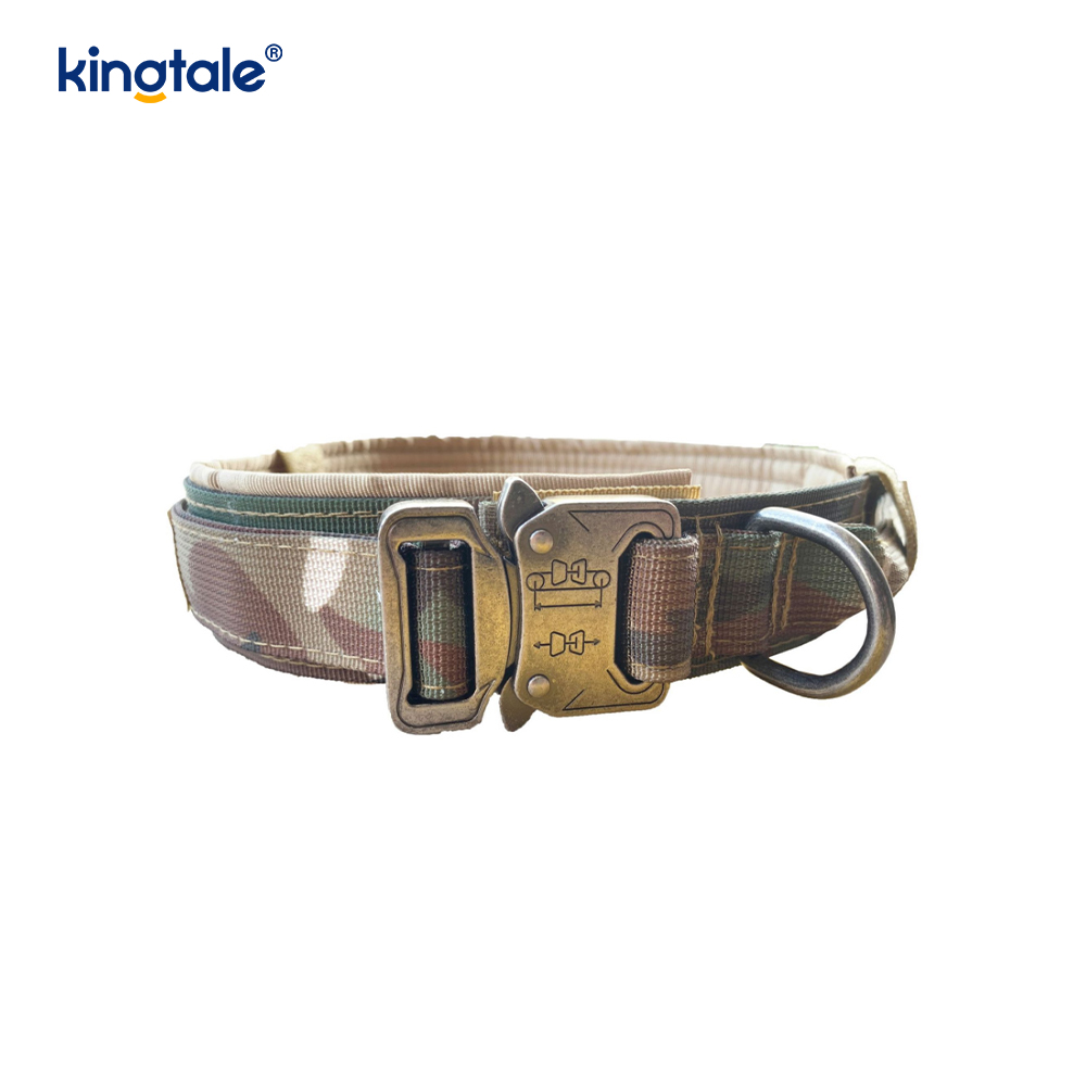 Metallspänne Bälte Hundhalsband Heavy Duty Hundhalsband Heavy Duty