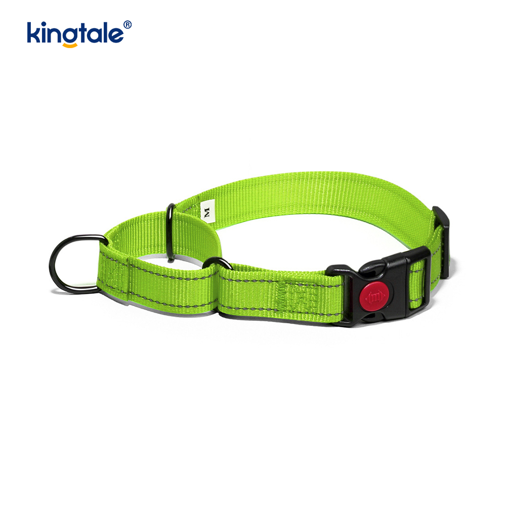 No Pull Reflekterande Justerbar Nylon Martingale Hundhalsband För S M A L L Hundar