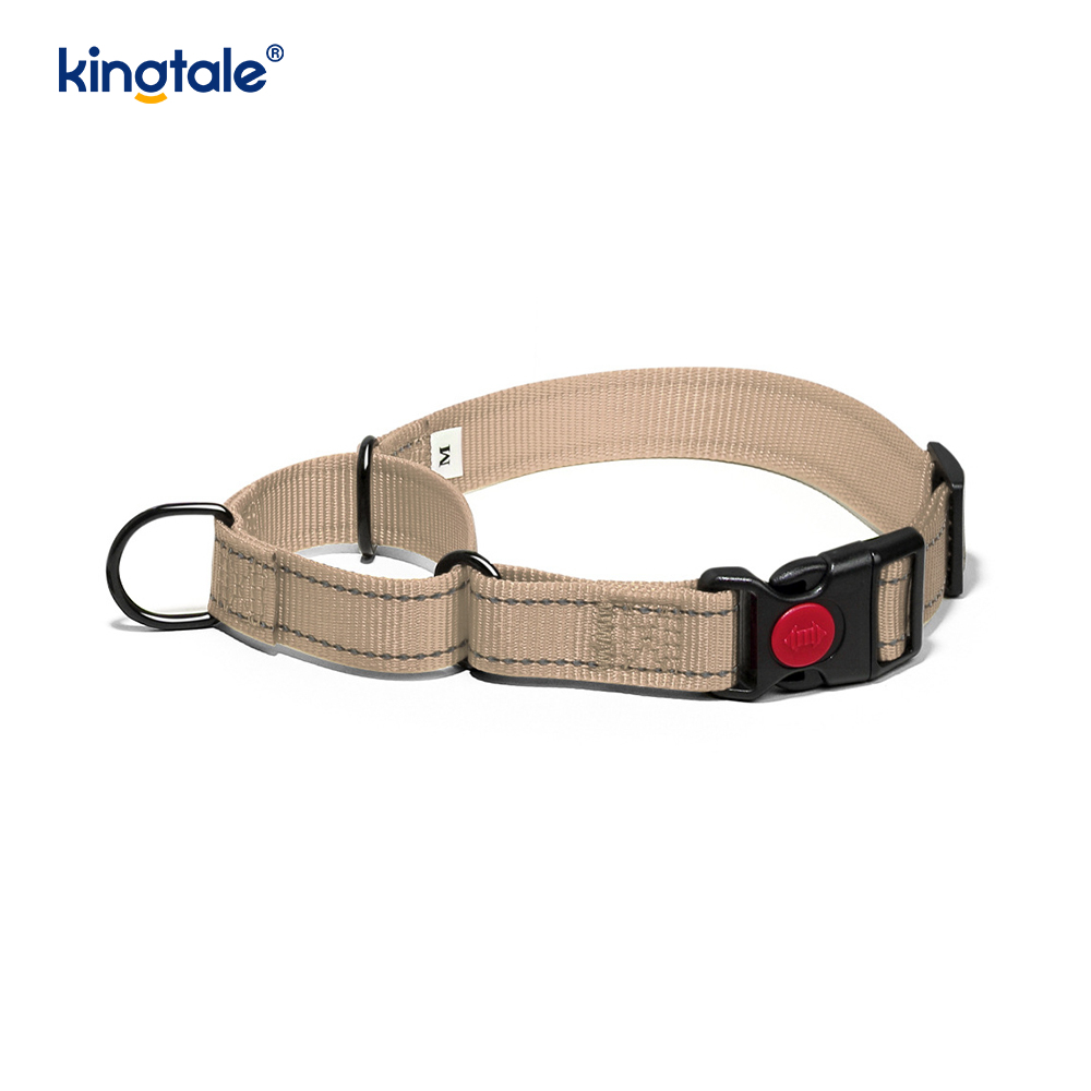 No Pull Reflekterande Justerbar Nylon Martingale Hundhalsband För S M A L L Hundar