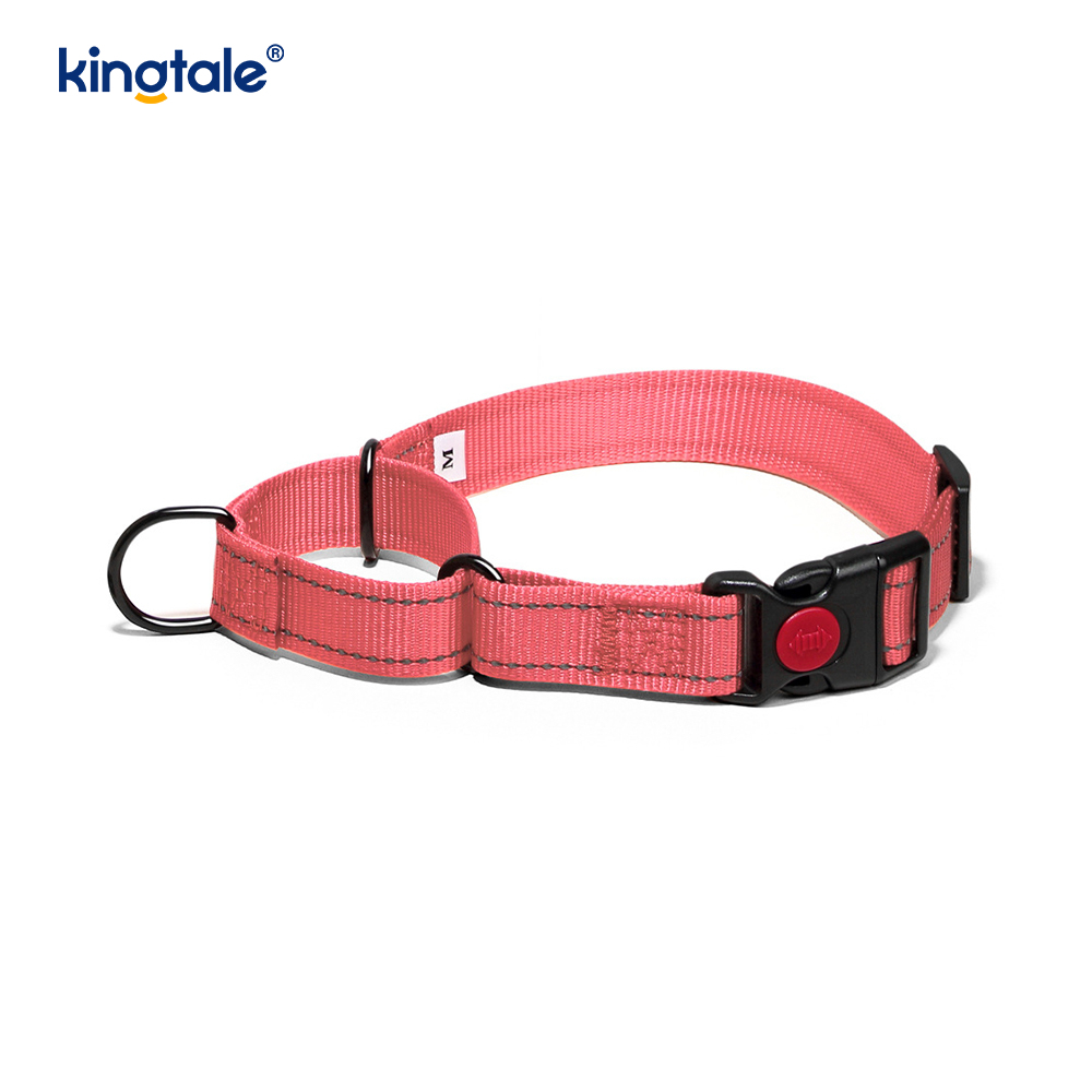 No Pull Reflekterande Justerbar Nylon Martingale Hundhalsband För S M A L L Hundar