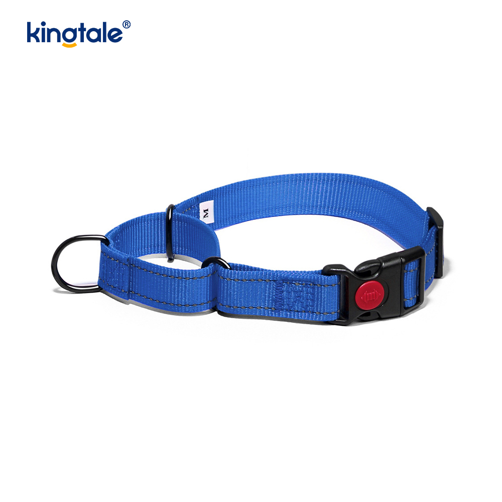 No Pull Reflekterande Justerbar Nylon Martingale Hundhalsband För S M A L L Hundar