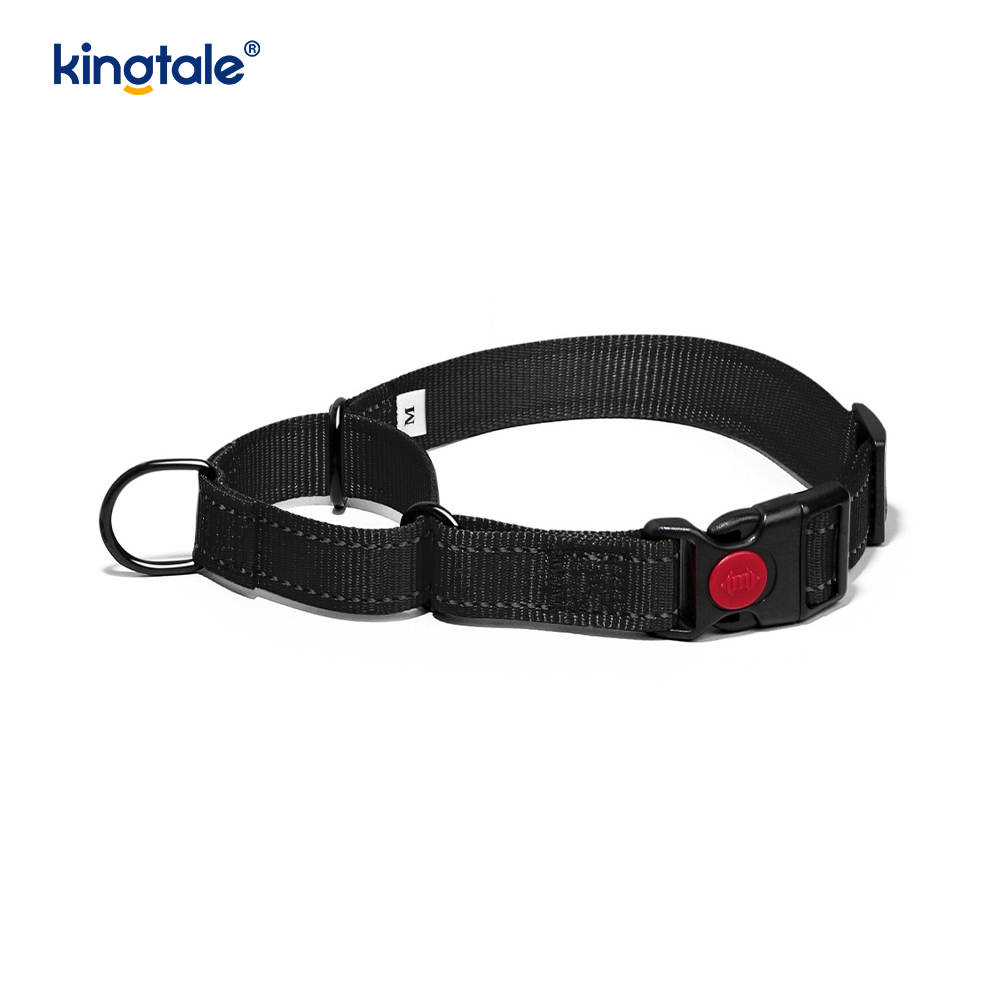 No Pull Reflekterande Justerbar Nylon Martingale Hundhalsband För S M A L L Hundar