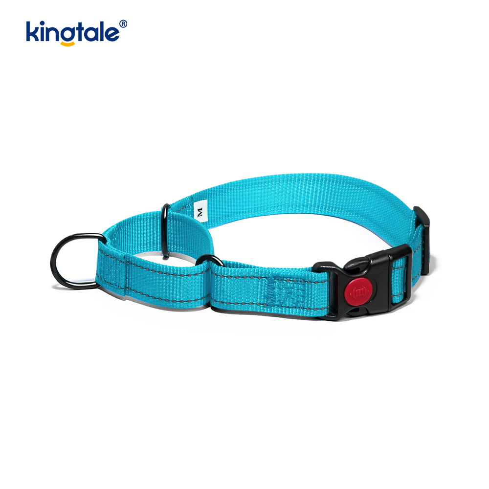No Pull Reflekterande Justerbar Nylon Martingale Hundhalsband För S M A L L Hundar