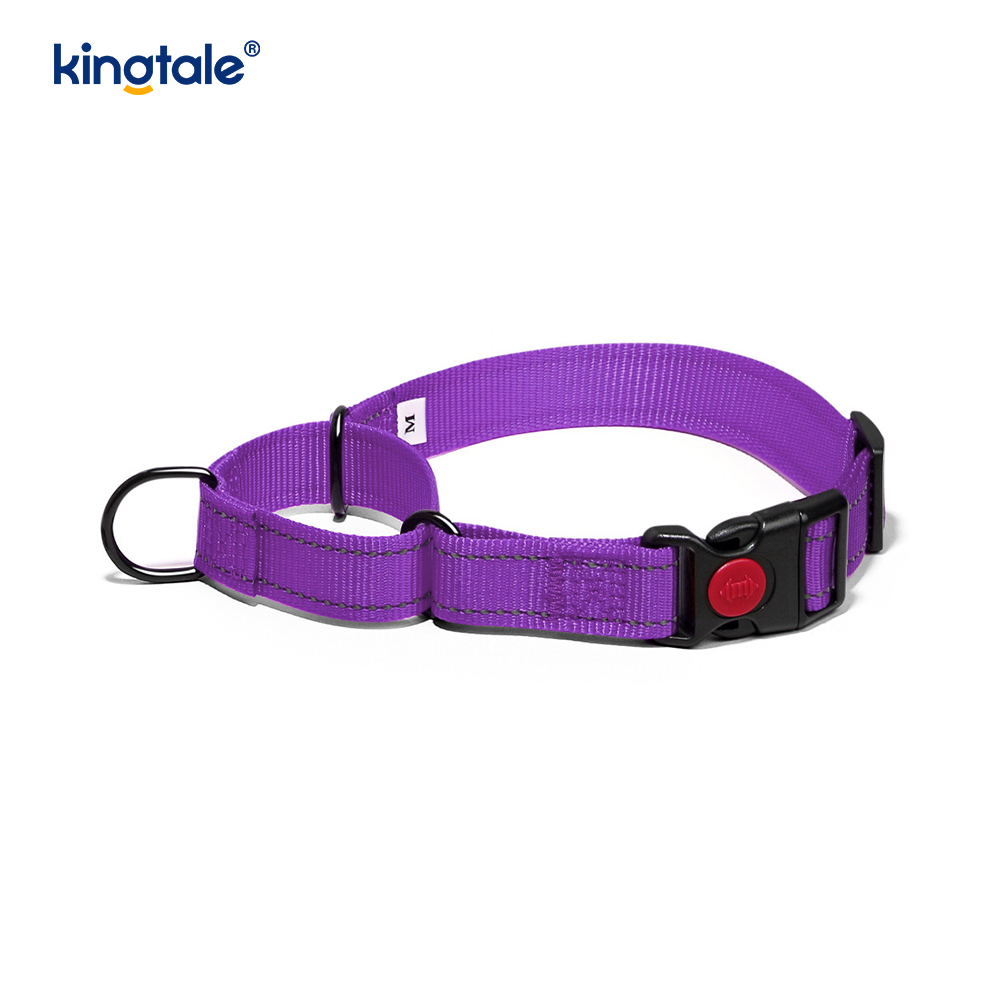 No Pull Reflekterande Justerbar Nylon Martingale Hundhalsband För S M A L L Hundar