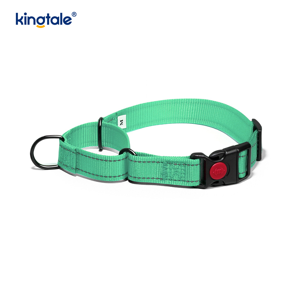 No Pull Reflekterande Justerbar Nylon Martingale Hundhalsband För S M A L L Hundar