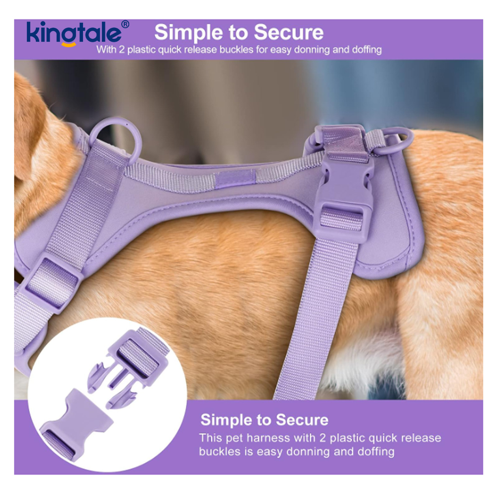 Custom Pet Justerbar Pvc No Pull Lätt hundsele koppel halsband